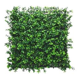 Panel roślinny Bukszpan/12 50x50 cm