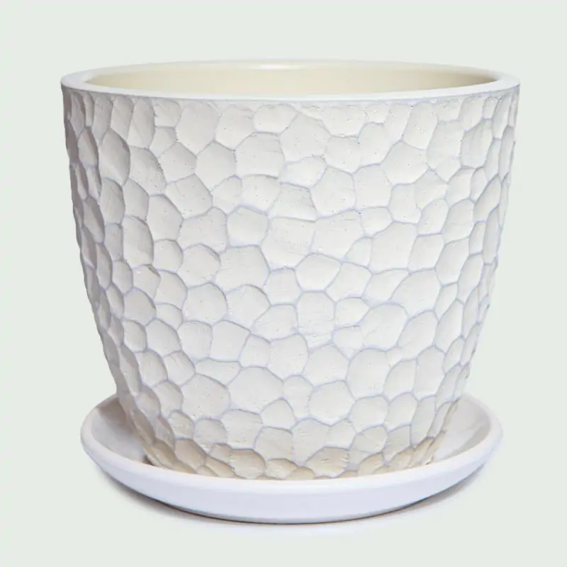 Don. bet. z podst. 175, Mango szampan. /8